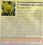 Эустома Твинки желтый 4 шт СМЦ-347