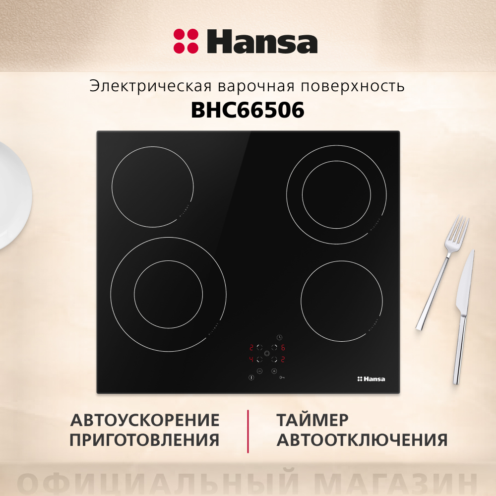Электрическая панель Hansa BHC66506