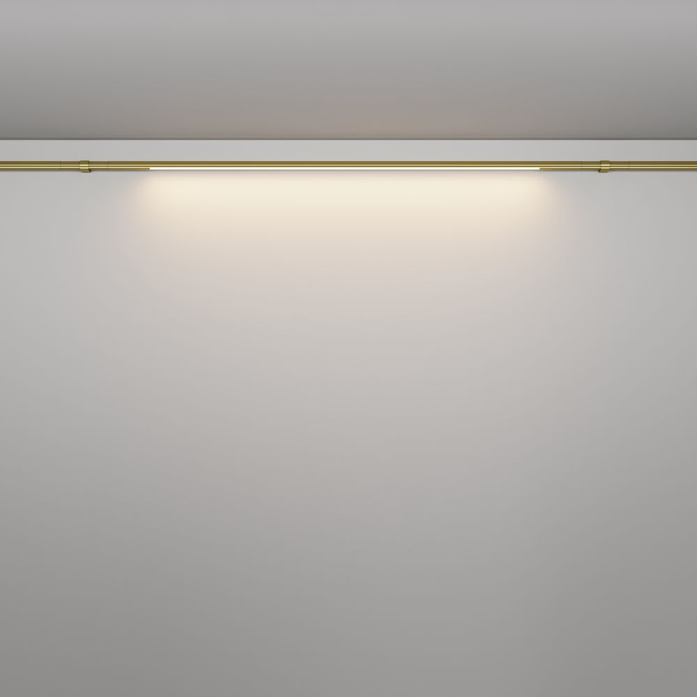 Трековый штанговый светодиодный светильник Maytoni Axity Basis C100CL-L1000-24W3-6K-BS