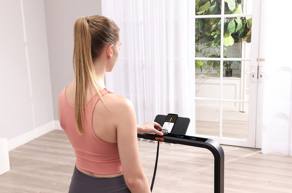 KingSmith WalkingPad X21