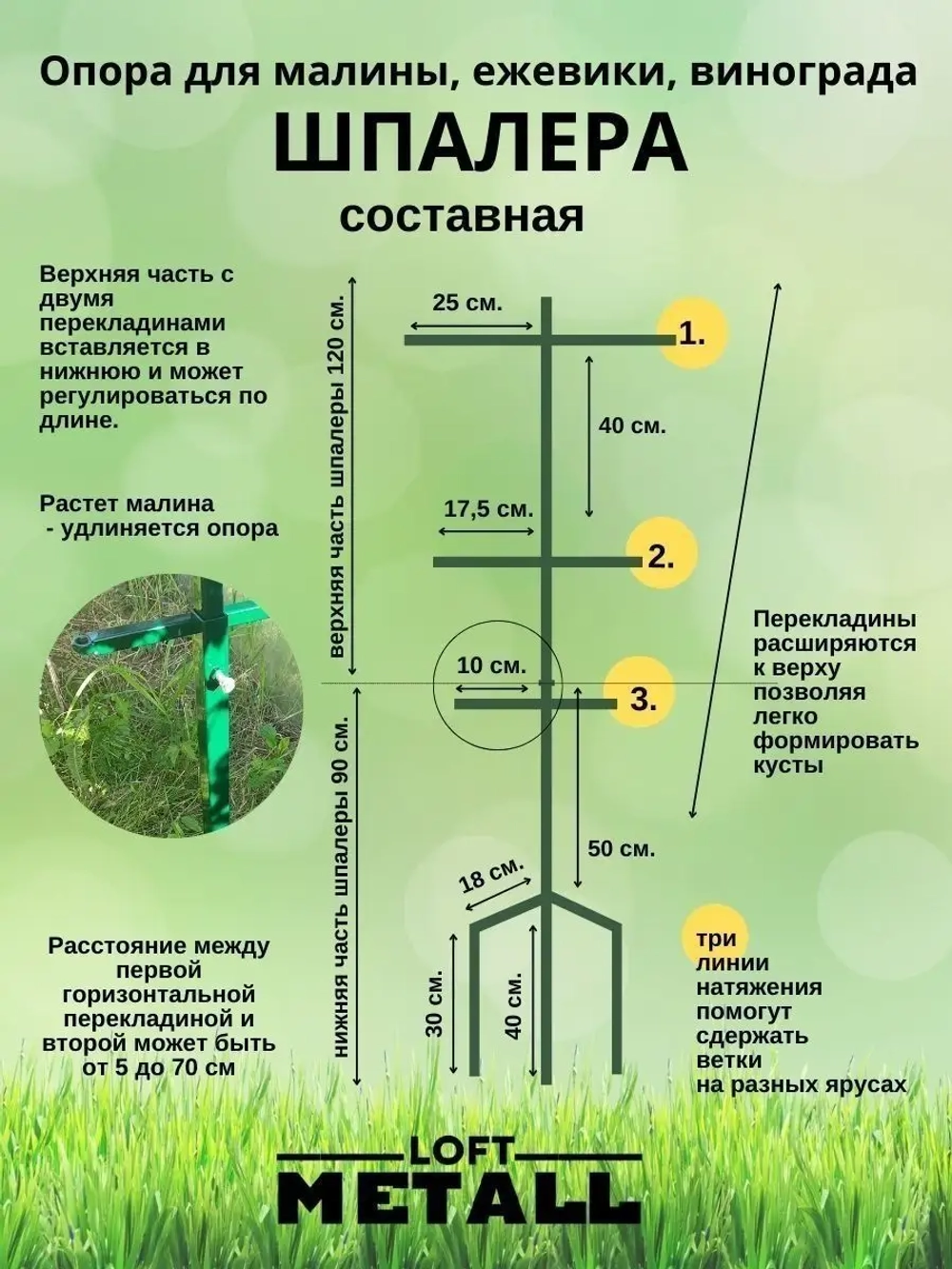 Шпалера садовая для малины и ежевики