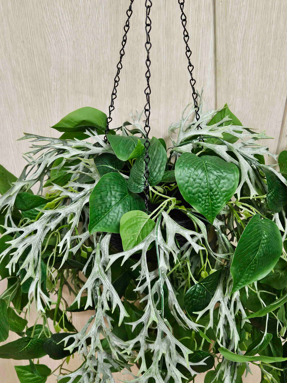 Искусственные растения Олений Рог и Сциндапсус в подвесном кашпо