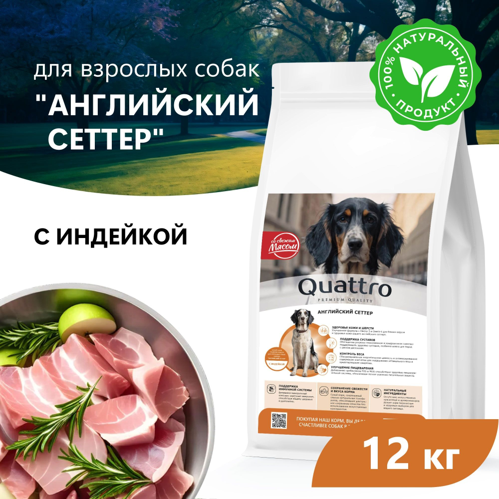 Корм сухой для взрослых собак породы Английский сеттер, премиум полнорационный комплекс, с индейкой, 12 кг, QUATTRO