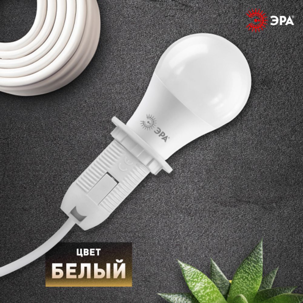 Патрон ЭРА Е14 с кольцом пластик, белый | Патроны, переходники, ПРА