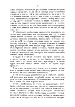 Бабочки и гусеницы Средней Европы | Конвичка Ганс