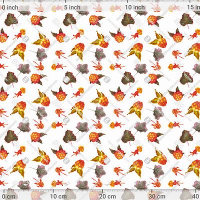 Морошка на белом. Лесные ягоды. Магазин art_sun_ray by art_sun_ray 652 DPI