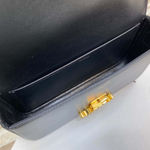 Celine Triomphe 20 cm