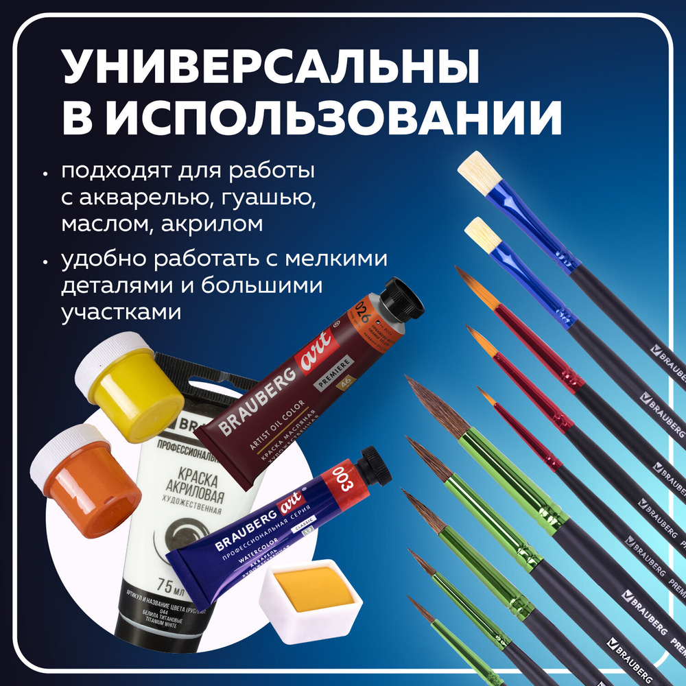 Кисти BRAUBERG PREMIUM, набор 10 шт. (круглые пони - 5 шт., синтетика - 3 шт., плоские щетина - 2 шт.), блистер, 201023