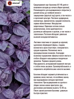 Базилик фиолетовый Мари