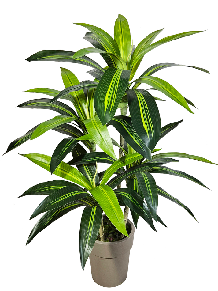 Искусственная драцена Рики 95см в стильном кашпо