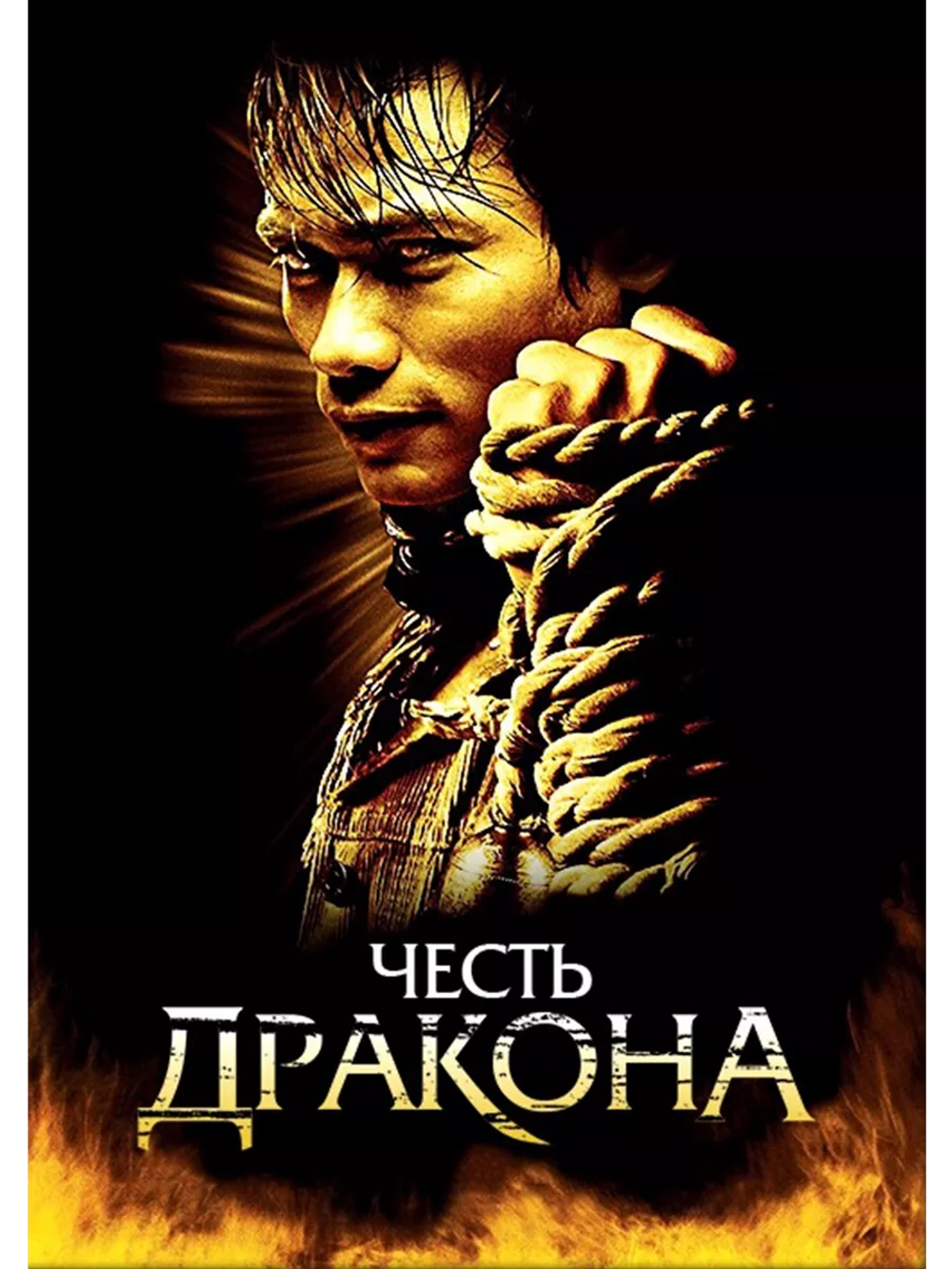 Честь дракона (2005) (DVD-R)