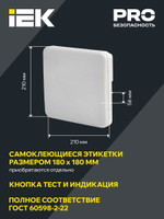 Светильник аварийного освещения IEK LDPA4-5000-3-65-K01