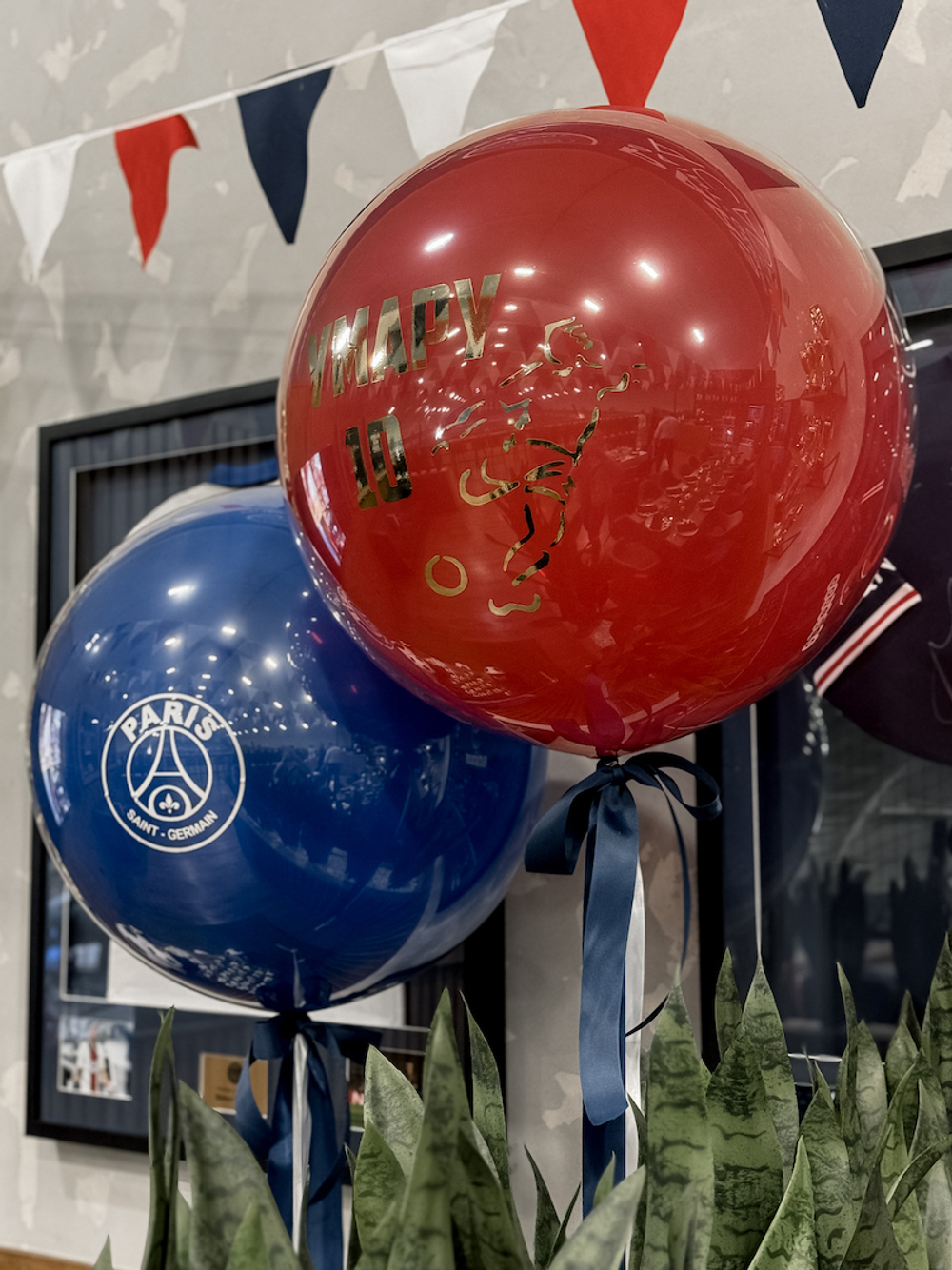 Paris Saint-Germain Party