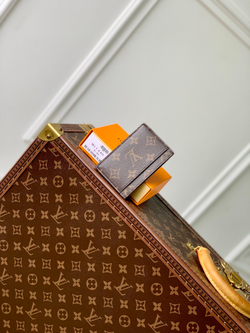 Louis Vuitton Card Holder