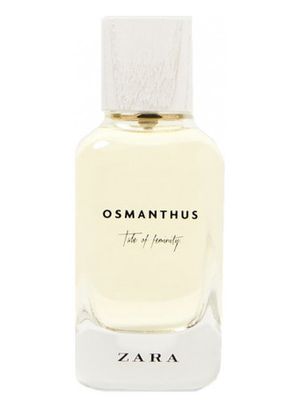 Zara Osmanthus - Tale Of Feminity