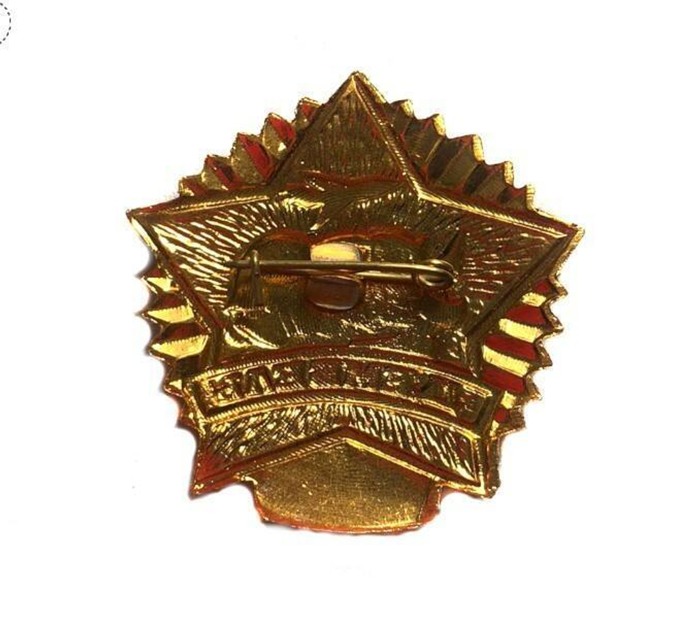 Значок Дембель(зеленая звезда)