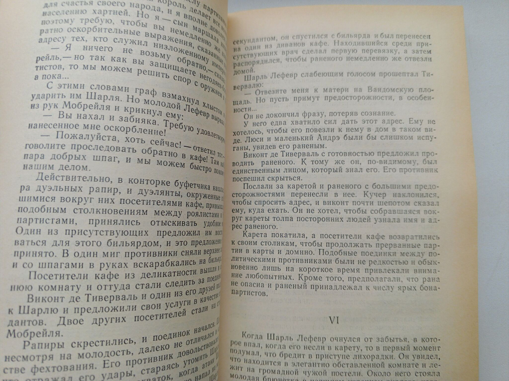 Тайна Наполеона. Книга 4 (Мученик англичан. Наследник великой Франции)