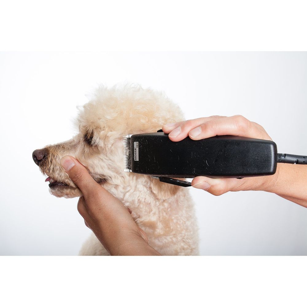 Машинка для стрижки животных Moser Rex, черная (1230-0078) - 6