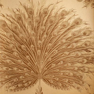 Обои Carl Robinson Edition 6 60705 CB