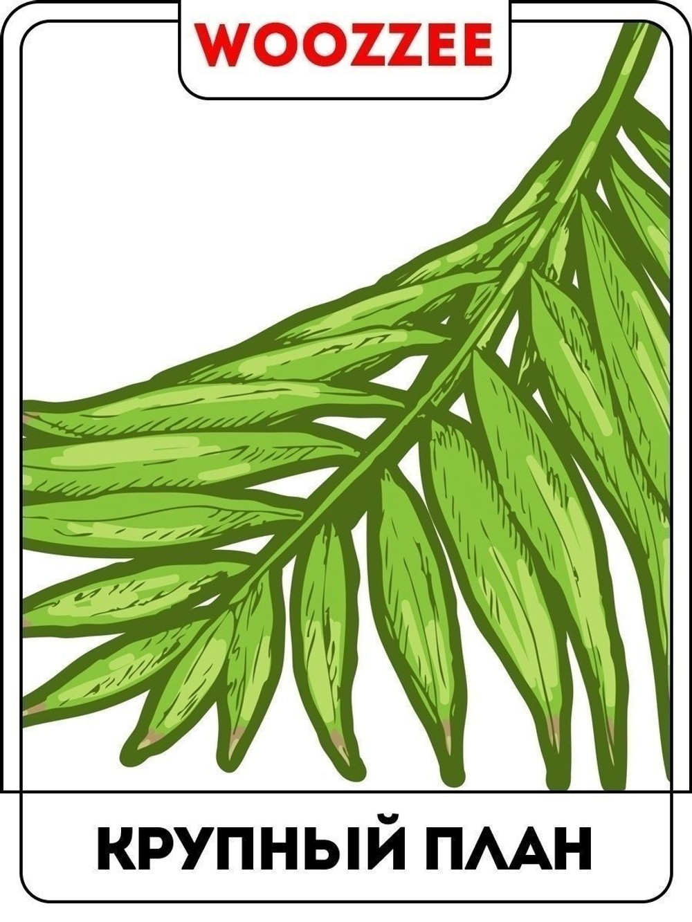 Наклейка декоративная "Зеленый папоротник"