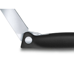 Нож кухонный Victorinox Swiss Classic (6.7803.FB) стальной для овощей лезв.110мм прямая заточка черн