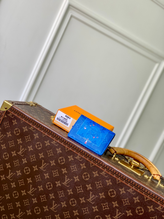 Louis Vuitton Pocket Organizer