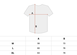 Футболка мужская Carhartt WIP Earth Magic