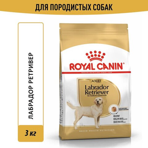 Royal canin 2025 labrador adult