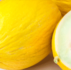 МАЙЛЛОТ F1 семена дыни (Syngenta | Alexagro)