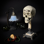 Шкатулка «Череп человека»