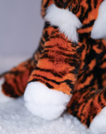 Тигр Тигруля