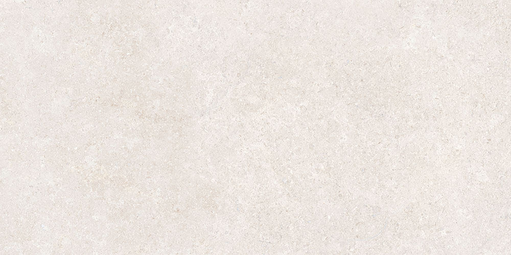 60х120 SandStone Белый Матовый R10A Ректификат