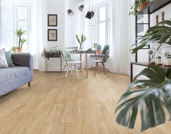 Линолеум полукоммерческий Profi Master Havanna Oak 10, 2,5х37м (рулон)