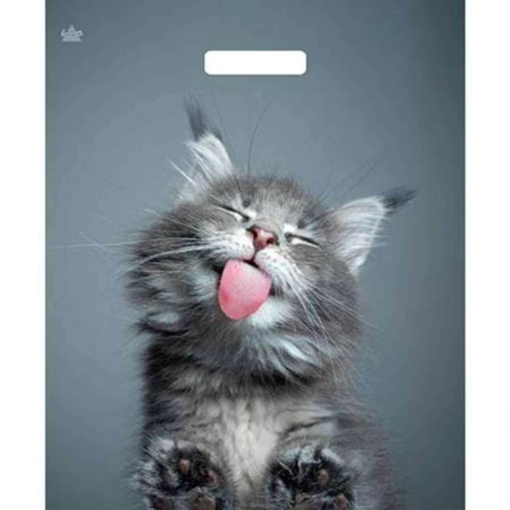 Пакет с вырубной ручкой Янтарь 38*45см 60мк Кот (50шт/уп)