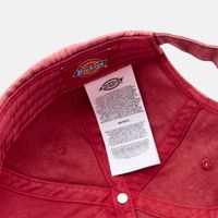  Кепка Dickies Middlefield Wash Dad Cap 