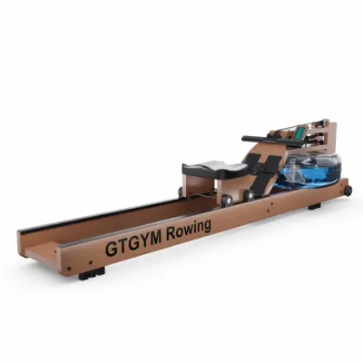 Гребной тренажер DFC GTGYM Frank