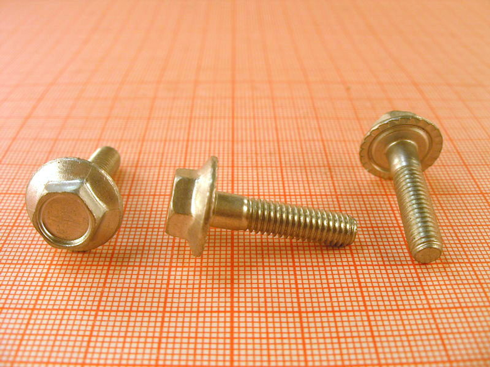 Болт 6х 25  с зубчатым бортиком (ОАО «БелЗАН») (уп25\50шт)