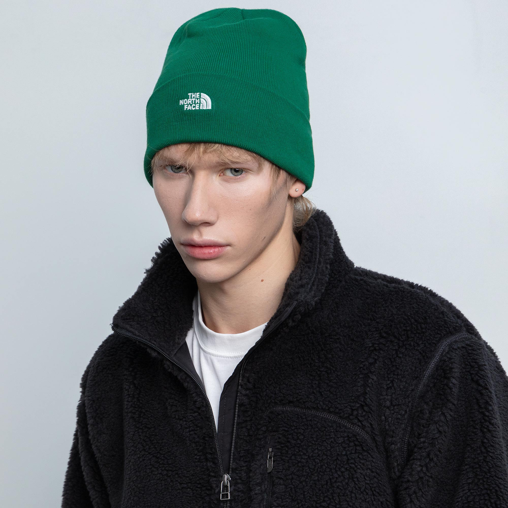 TOA5FW1NL1 Шапка The North Face Norm Beanie Green