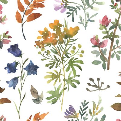 Акварельные цветы