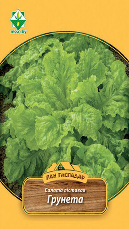 Салат листовой "Грюнетта листовой (Пан Гаспадар)" 4г, Германия.
