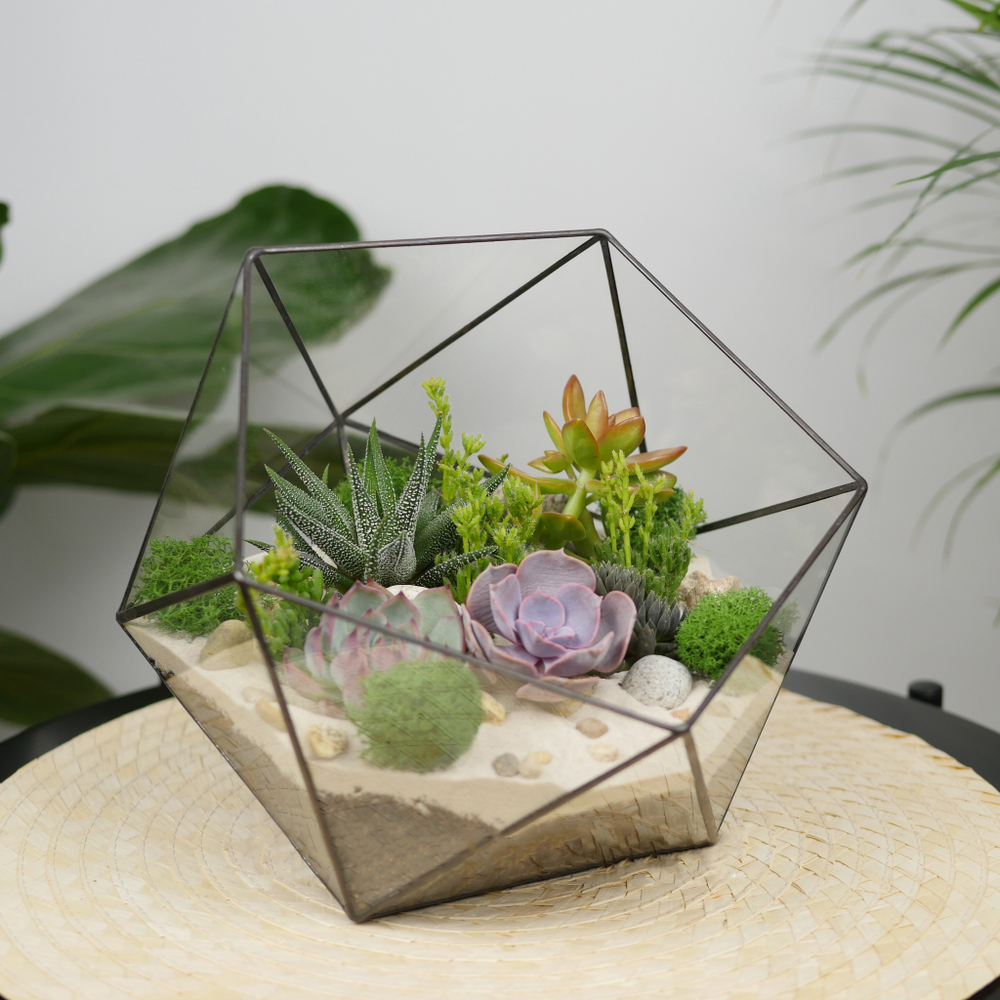 Готовый флорариум с суккулентами Laaroom Икос