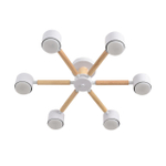 Потолочная люстра Lumion VUDI 8306/6C