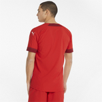Мужская футболка PUMA teamFINAL Jersey