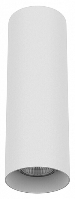 Накладной светильник Lightstar Rullo 216496