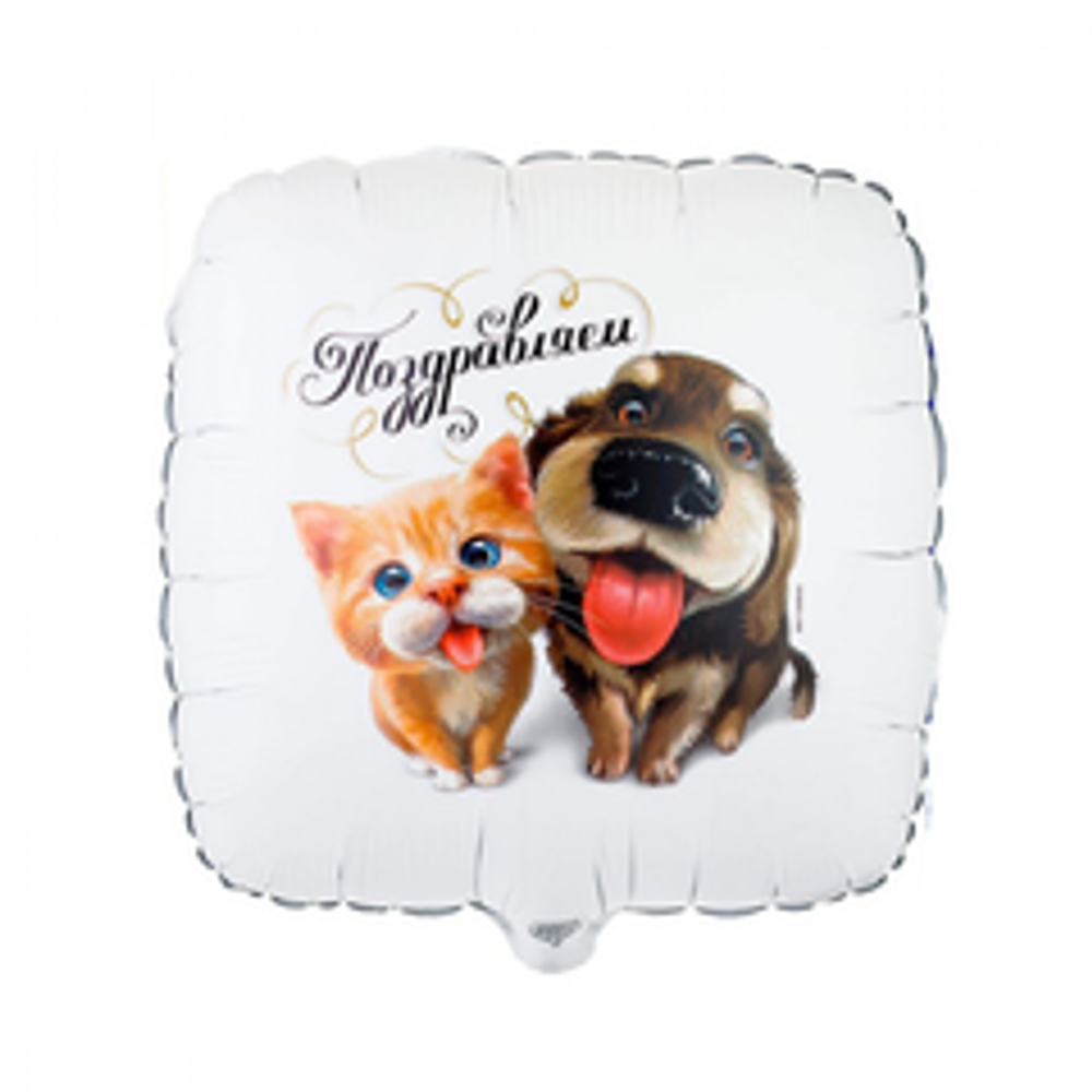 К 18"/46см, Квадрат, ПОЗДРАВЛЯЕМ Питомцы