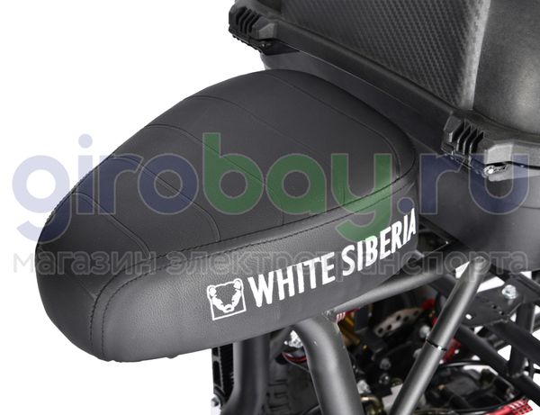 Электроскутер WHITE SIBERIA TRIKE MINI 1500W - Красный фото №15