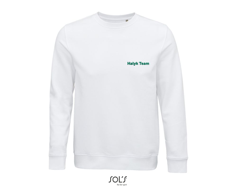 Свитшот Halyk Team COMET