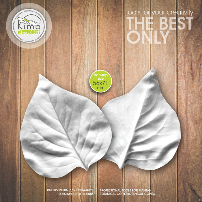 Сирень лист средний