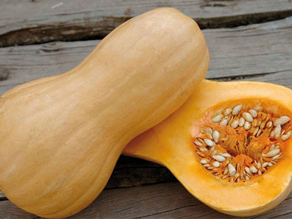 Матильда F1 семена тыквы (Enza Zaden / Энза Заден) культура – фото 4