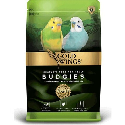 Goldwings Budgies
